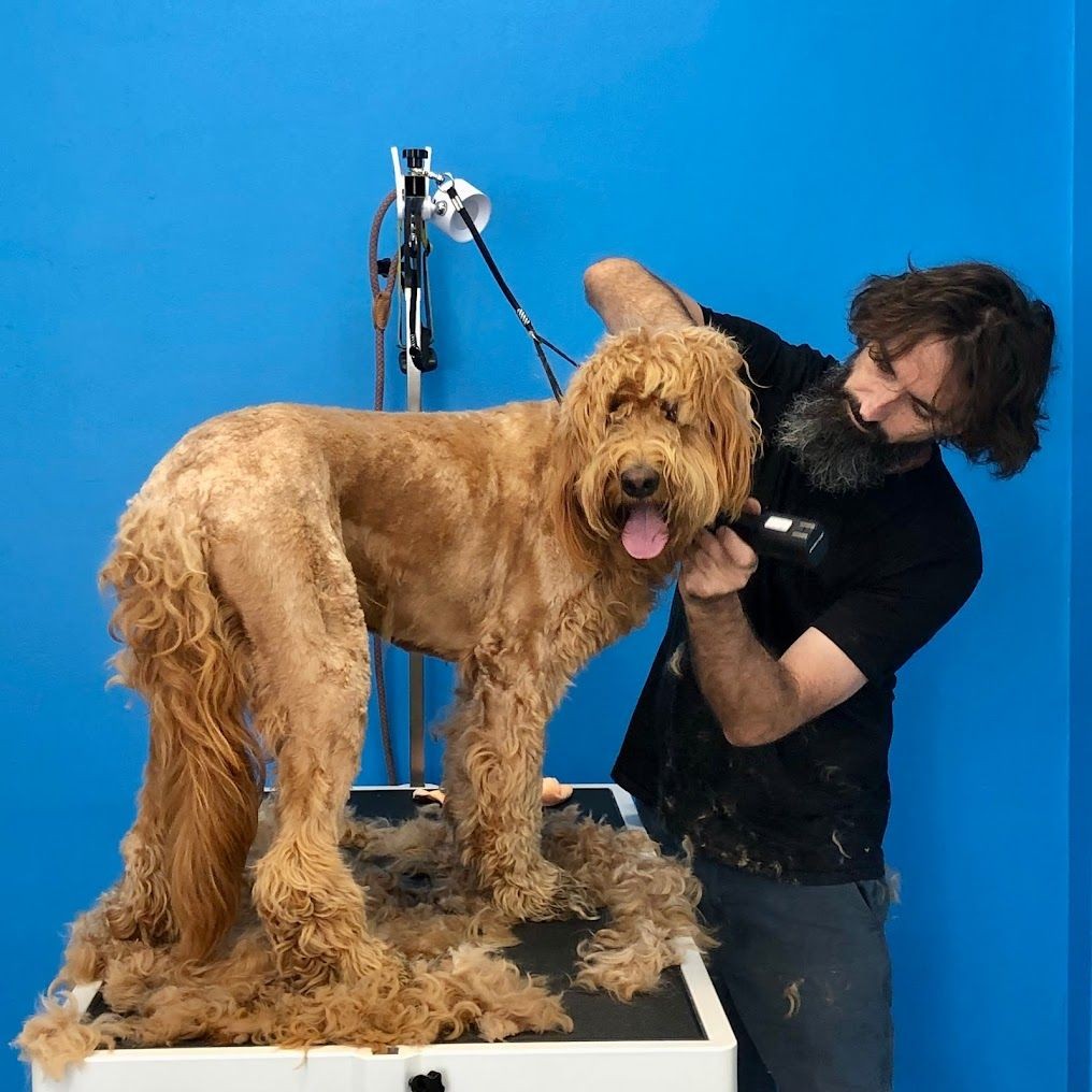 Grooming services include bathing, brushing, trimming, nail clip, and ear cleaning