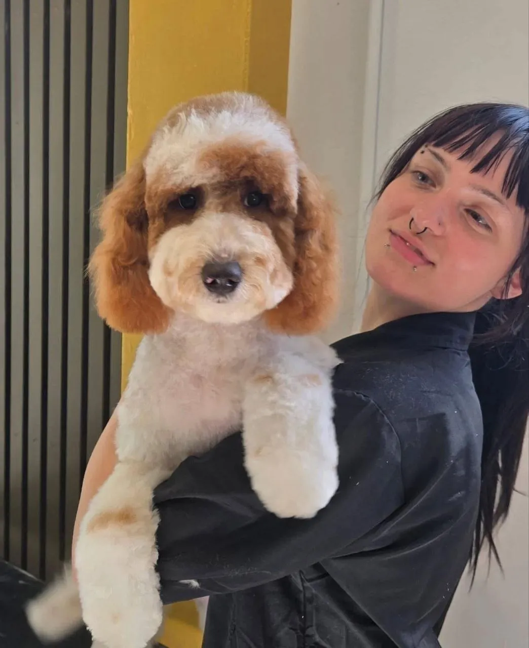 Savannah holding a freshly groomed doodle
